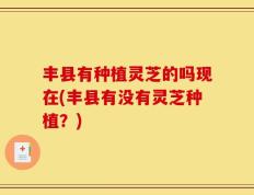 丰县有种植灵芝的吗现在(丰县有没有灵芝种植？)