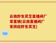 云南野生灵芝直播间厂家直销(云南直播间厂家供应野生灵芝)