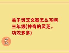 关于灵芝文案怎么写啊三年级(神奇的灵芝，功效多多)