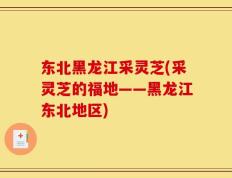 东北黑龙江采灵芝(采灵芝的福地——黑龙江东北地区)