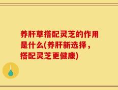 养肝草搭配灵芝的作用是什么(养肝新选择，搭配灵芝更健康)
