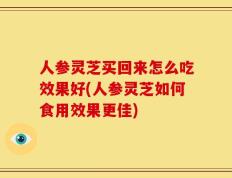 人参灵芝买回来怎么吃效果好(人参灵芝如何食用效果更佳)