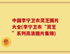中国李宁卫衣灵芝图片大全(李宁卫衣“灵芝”系列高清图片集锦)