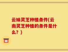 云妹灵芝种植条件(云南灵芝种植的条件是什么？)