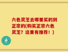 六色灵芝去哪里买的到正宗的(购买正宗六色灵芝？这里有推荐！)