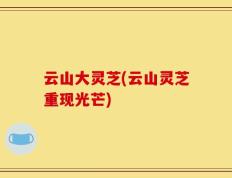 云山大灵芝(云山灵芝重现光芒)