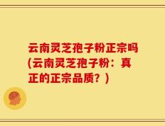 云南灵芝孢子粉正宗吗(云南灵芝孢子粉：真正的正宗品质？)