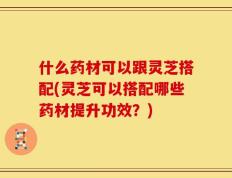 什么药材可以跟灵芝搭配(灵芝可以搭配哪些药材提升功效？)