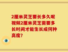 2厘米灵芝要长多久呢视频2厘米灵芝需要多长时间才能生长成何种高度？