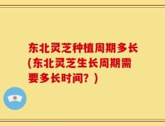 东北灵芝种植周期多长(东北灵芝生长周期需要多长时间？)