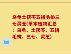 乌龟土茯苓五指毛桃三七灵芝(草本植物汇总：乌龟、土茯苓、五指毛桃、三七、灵芝)