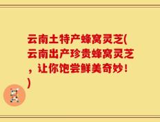 云南土特产蜂窝灵芝(云南出产珍贵蜂窝灵芝，让你饱尝鲜美奇妙！)