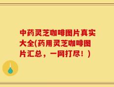中药灵芝咖啡图片真实大全(药用灵芝咖啡图片汇总，一网打尽！)
