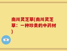 南川灵芝草(南川灵芝草：一种珍贵的中药材)