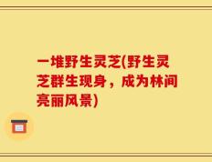 一堆野生灵芝(野生灵芝群生现身，成为林间亮丽风景)