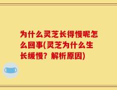 为什么灵芝长得慢呢怎么回事(灵芝为什么生长缓慢？解析原因)