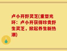 卢小开野灵芝(重塑光环：卢小开获得珍贵野生灵芝，掀起养生新热潮)
