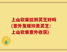 上山砍柴捡到灵芝好吗(意外发现珍贵灵芝：上山砍柴意外收获)
