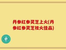 丹参红参灵芝上火(丹参红参灵芝祛火佳品)