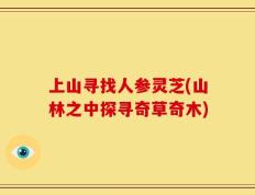上山寻找人参灵芝(山林之中探寻奇草奇木)