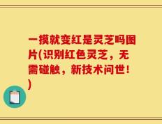 一摸就变红是灵芝吗图片(识别红色灵芝，无需碰触，新技术问世！)