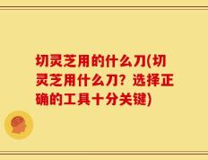 切灵芝用的什么刀(切灵芝用什么刀？选择正确的工具十分关键)