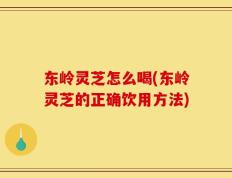 东岭灵芝怎么喝(东岭灵芝的正确饮用方法)