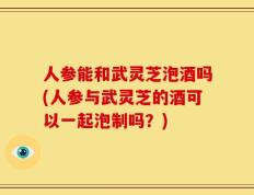 人参能和武灵芝泡酒吗(人参与武灵芝的酒可以一起泡制吗？)