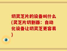 切灵芝片的设备叫什么(灵芝片切割器：自动化设备让切灵芝更容易)