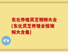 东北养植灵芝视频大全(东北灵芝养殖全程视频大合集)