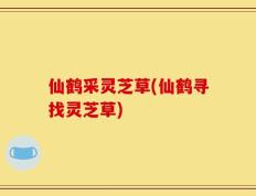 仙鹤采灵芝草(仙鹤寻找灵芝草)