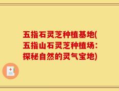 五指石灵芝种植基地(五指山石灵芝种植场：探秘自然的灵气宝地)