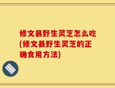 修文县野生灵芝怎么吃(修文县野生灵芝的正确食用方法)