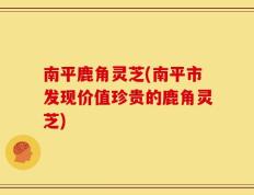 南平鹿角灵芝(南平市发现价值珍贵的鹿角灵芝)
