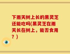 下雨天树上长的黑灵芝还能吃吗(黑灵芝在雨天长在树上，能否食用？)