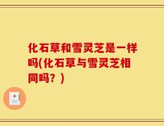 化石草和雪灵芝是一样吗(化石草与雪灵芝相同吗？)