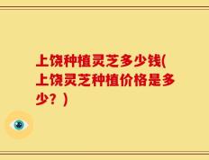 上饶种植灵芝多少钱(上饶灵芝种植价格是多少？)