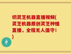 切灵芝机器直播视频(灵芝机器原创灵芝种植直播，全程无人值守！)