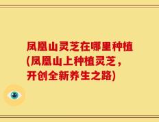 凤凰山灵芝在哪里种植(凤凰山上种植灵芝，开创全新养生之路)