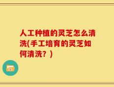 人工种植的灵芝怎么清洗(手工培育的灵芝如何清洗？)