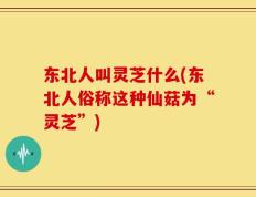 东北人叫灵芝什么(东北人俗称这种仙菇为“灵芝”)