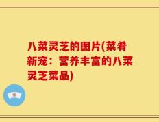 八菜灵芝的图片(菜肴新宠：营养丰富的八菜灵芝菜品)