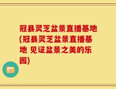 冠县灵芝盆景直播基地(冠县灵芝盆景直播基地 见证盆景之美的乐园)