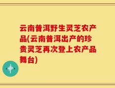 云南普洱野生灵芝农产品(云南普洱出产的珍贵灵芝再次登上农产品舞台)