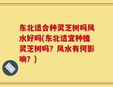 东北适合种灵芝树吗风水好吗(东北适宜种植灵芝树吗？风水有何影响？)