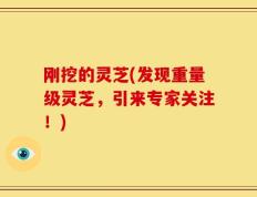 刚挖的灵芝(发现重量级灵芝，引来专家关注！)