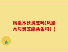 凤凰木长灵芝吗(凤凰木与灵芝能共生吗？)