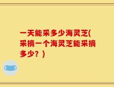 一天能采多少海灵芝(采摘一个海灵芝能采摘多少？)