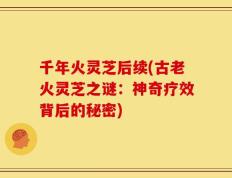 千年火灵芝后续(古老火灵芝之谜：神奇疗效背后的秘密)
