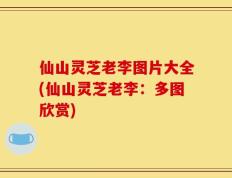 仙山灵芝老李图片大全(仙山灵芝老李：多图欣赏)